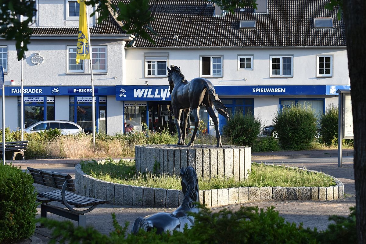 Galeriebild Team Nortorf-Video, 24589 Nortorf